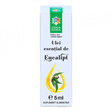 Eucalyptus essential oil, 5 ml, Divine Star