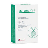 Entero 4 SB, 10 sachets orodispensables, Laborest