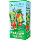 Miscela di tè Megafyt Bronchial Tea Blend 20 x 1,5 g