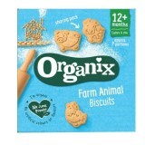 Biscuiti organici animalute Goodies, +12 luni, 100 g, Organix