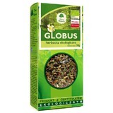 Globus Tè biologico 50g DARY NATURY