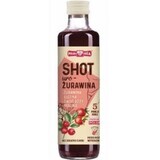 Schuss Cranberry (gemischter Fruchtsaft) 250ml Polska Róża