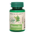 Boswellia, 60 tablets, Dacia Plant