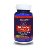 Branca Marelui Urs, 30 capsule, Herbagetica