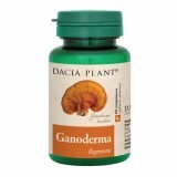 Ganoderma, 60 cpr, Dacia Plant