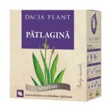Ceai de pătlagină, 50 g, Dacia Plant