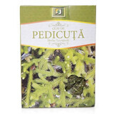 Ceai de Pedicuță, 50 g, Stef Mar Valcea 