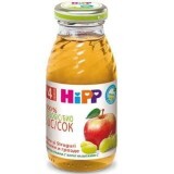 Suc de mere si struguri 100% natural, +4 luni, 200 ml, Hipp
