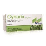 Cynarix