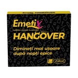 Emetix Hangover, 2 plicuri, Fiterman