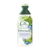 Sampon cu urzica si mirt pentru par gras L'angelica Officinalis, 250 ml, Coswell