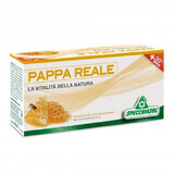 Tonic Pappa Reale Plus, 12 flacoane, Specchiasol