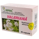 Valeriana, 20 capsule, Hofigal