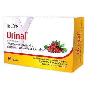 Urinal