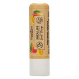 Stara - Shea Lips Sweet Mango