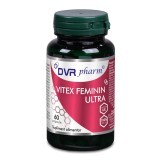 Vitex Feminin Ultra, 60 capsule, Dvr Pharm