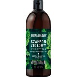 Barwa Șampon cu urzică pentru păr gras, 480 ml