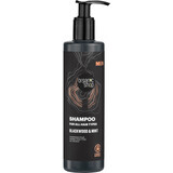 Organic Shop Șampon pentru bărbați, 280 ml