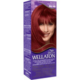 Wellaton Vopsea de păr permanentă 66/46 roșu cireașă, 1 buc