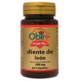 Dienleon 300 mg, 60 capsule, Obire