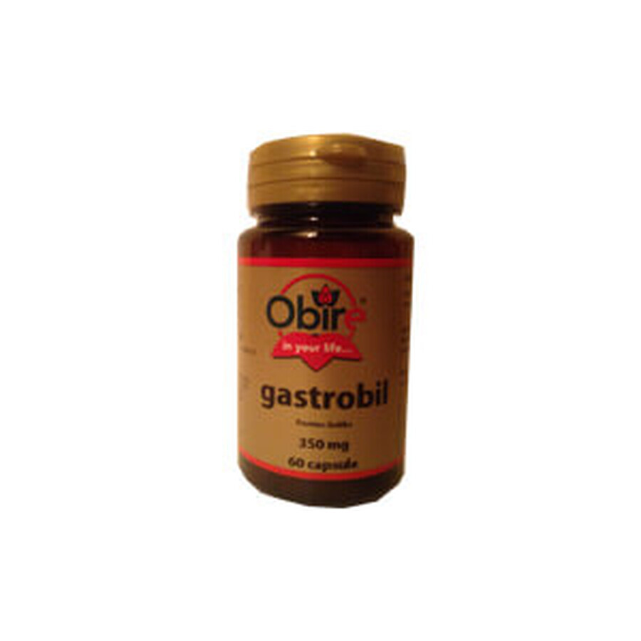Gastrobil, 60 capsule, Obire