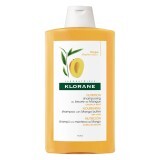 Șampon hrănitor cu unt de mango pentru păr uscat, 400 ml, Klorane