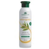 Șampon seboreglator cu sălcie și complex de vitamine B, 250 ml, Cosmetic Plant