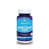 Articular Stem, 30 capsule, Herbagetică