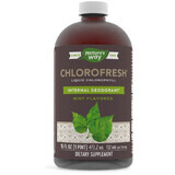 Chlorofresh Mint Liquid Nature's Way, 473.2 ml, Secom
