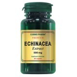 Echinacea Extract 500mg, 60 capsule, Cosmopharm