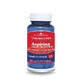Aspirina naturala Cardio Prim, 60 capsule, Herbagetica