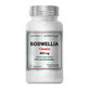 Boswellia Serrata, 500 mg, 30 capsule vegetale, Cosmopharm