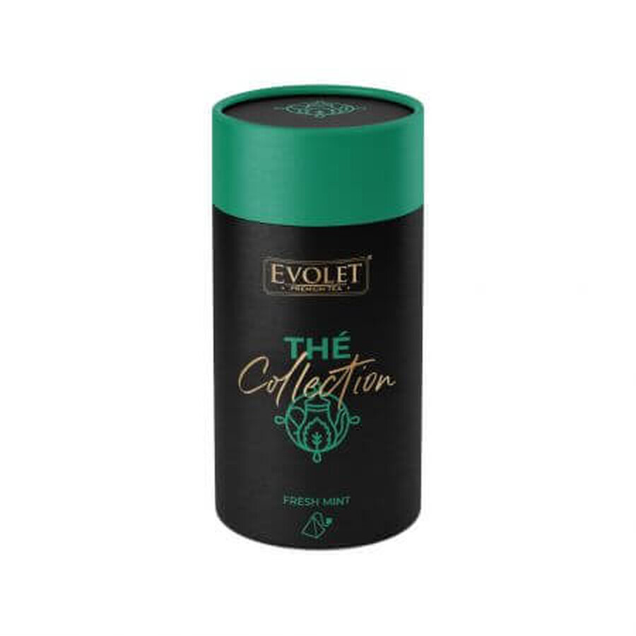 Ceai cu menta, The Collection Fresh mint, 15 plicuri, Evolet