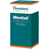 Minzsirup, 100 ml, Himalaya