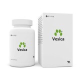 Vesica, 30 tablete