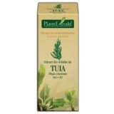 Extract din mladite de Tuia, 50 ml, Plant Extract