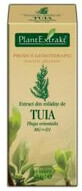 Extract din mladite de Tuia, 50 ml, Plant Extract