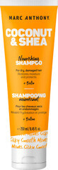 Marc Anthony Coconut &amp; Shea șampon reparator, 250 ml