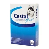 Antiparazitar intern pentru caini Cestal Plus Chew, 8 comprimate masticabile, Ceva Sante