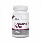 Supliment pentru intarirea functiilor hepatice la caini de talie mica si pisici Hepatiale Forte Small Breed & Cats 170 mg Twist-Off, 40 capsule, VetExpert