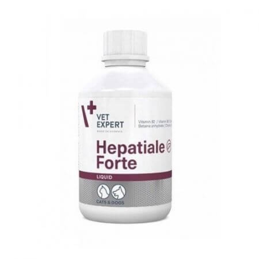 Supliment pentru intarirea functiilor hepatice la caini si pisici Hepatiale Forte Liquid, 250 ml, VetExpert