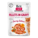 Hrana umeda cu fileuri de somon pentru pisici Brit Care Fillets in Gravy With Savory Salmon, 85 g, Brit