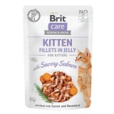 Hrana umeda cu somon pentru pisici Brit Care Cat Pouch Kitten, 85 g, Brit