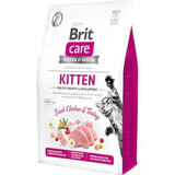 Hrana uscata cu pui si curcan pentru pisici Brit Care GF Healthy Growth & Development, 2 kg, Brit