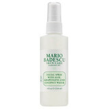 Spray pentru fata cu aloe vera si apa de cocos Facial Spray Aloe, Adaptogens & Coconut Water, 118 ml, Mario Badescu