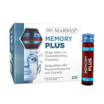 Memory Plus cu Ginkgo Biloba + Fosfatidilserină + Vitamina B1, B2, B3, B5, B6 – Produs Vegan – 20 Fiole, Marnys