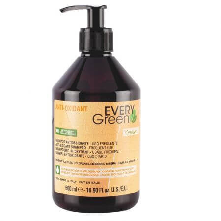 Sampon pentru par Anti-oxidant, 500 ml, Every Green