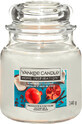 Yankee Candle Lum&#226;nare parfumată pomegranate coconut, 340 g