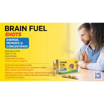 Royal Brain Fuel Shots, 10 fiole buvabile, Justin Pharma