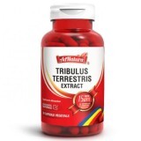 Tribulus Terrestris extract, 30 capsule, AdNatura